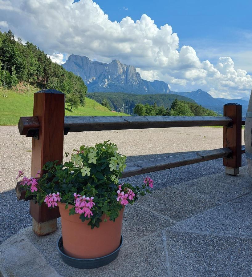 B&B Gasthaus Lieg Castelrotto Exterior foto