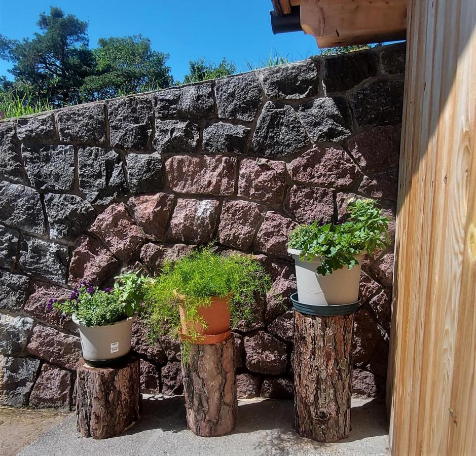 B&B Gasthaus Lieg Castelrotto Exterior foto